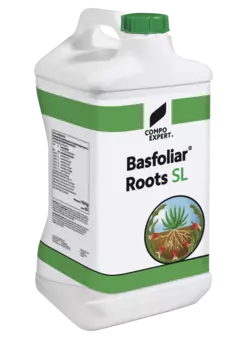 Basfoliar Roots SL 10l