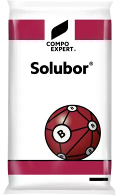 Solubor 25kg Chile