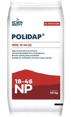 polidap