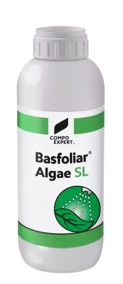 Basfoliar Algae SL_MX