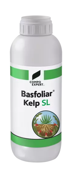 Basfoliar Kelp SL_MX