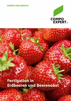 Titel Folder Fertigation in Erdbeeren- und Beerenobst