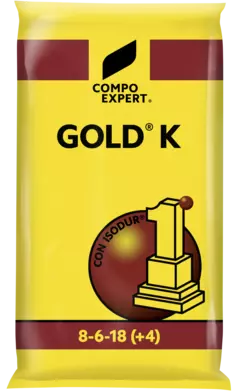 GOLD K 8-6-18