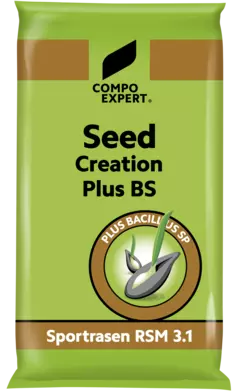 Seed Creation Plus BS