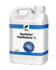 Basfoliar Molibdeno