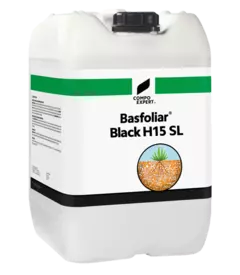 BFL Black H15 SL