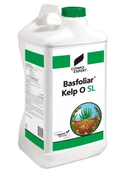 Basfoliar Kelp O SL
