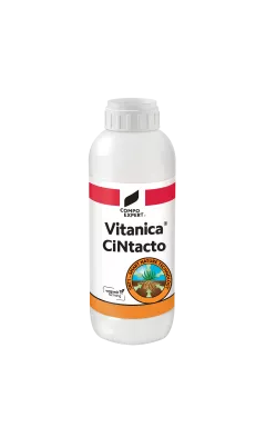 Vitanica CiNtacto