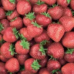 Erdbeeren & Beerenobst