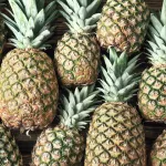 Pineapple close up