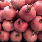 Pomegranate close up