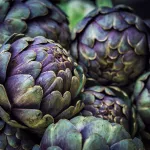 Artichoke close up