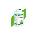 Saatgutbehandlung DE