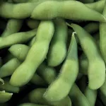 field crops soybeans_title