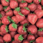 fruits berries-title