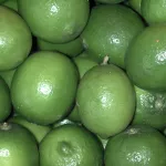fruits citrus-title