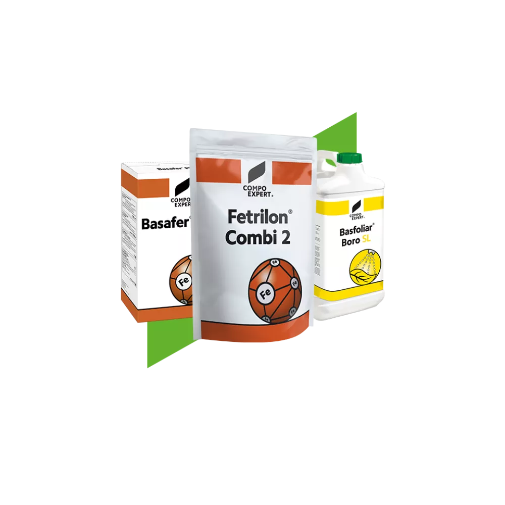 Micronutrient Fertilizers