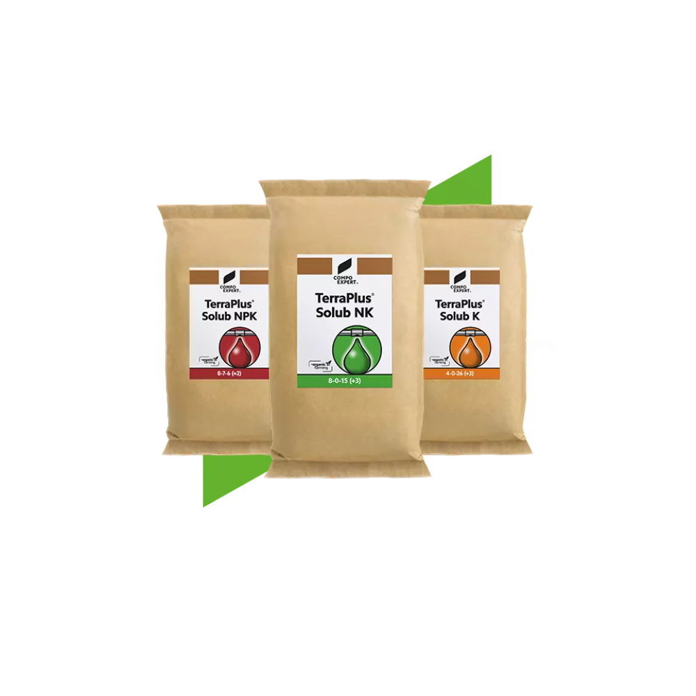 Organic and Organic-Mineral Fertilizers TerraPlus Solub