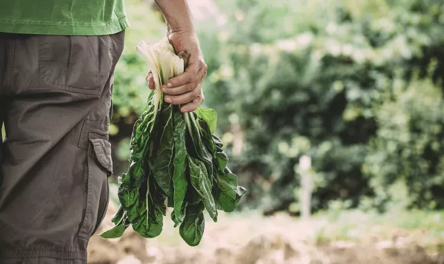 man holding vegetable