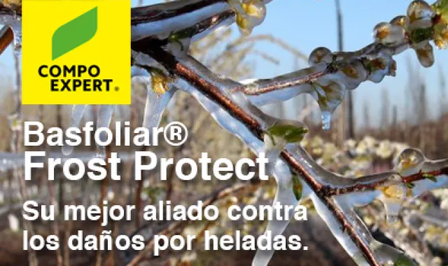 Basfoliar® Frost Protect es un bioestimulante creado para proteger los cultivos de las bajas temperaturas.