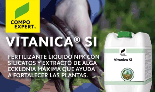 Vitanica® Si: la fuerza de tu cultivo