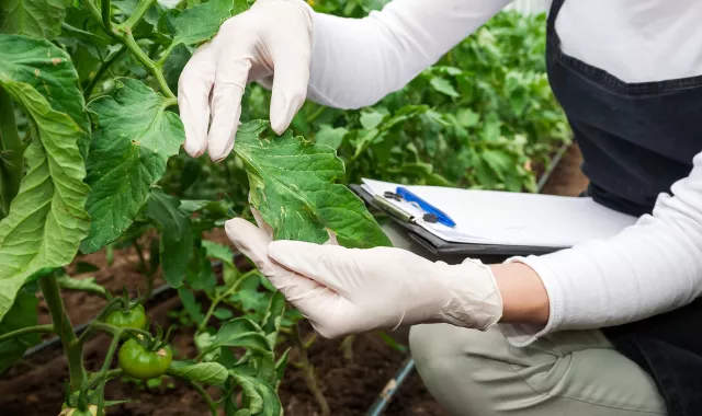 Un aporte inadecuado de nutrientes puede condicionar el equilibrio nutricional de nuestras plantas y cultivos