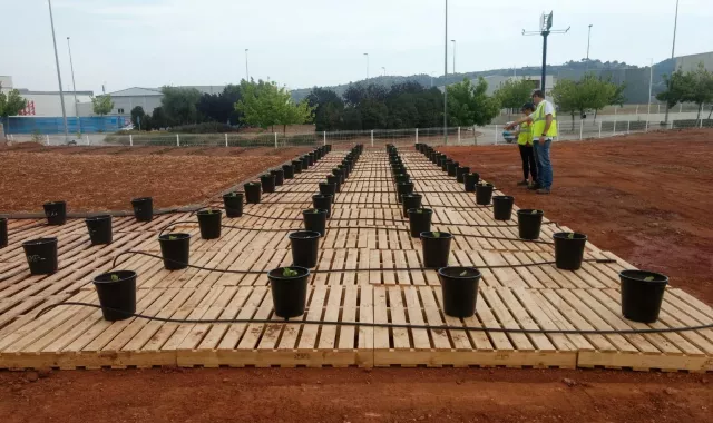 Nuestra joya experimental en Vall d’Uixó