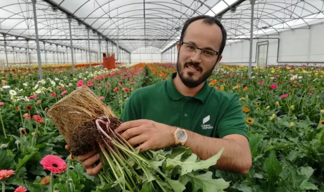 Agronutrición en cultivos menores
