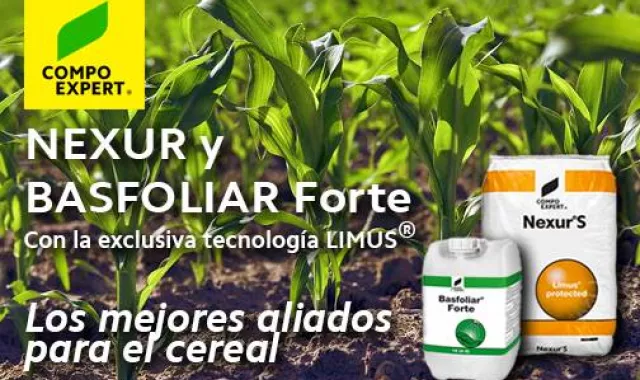 NEXUR y BASFOLIAR FORTE, aliados para el cereal