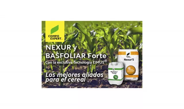 NEXUR y BASFOLIAR FORTE, aliados para el cereal