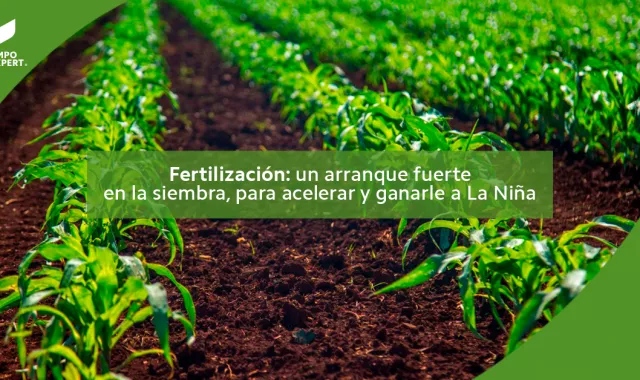 Fertilización: un arranque fuerte en la siembra