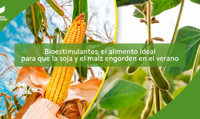 Bioestimulantes