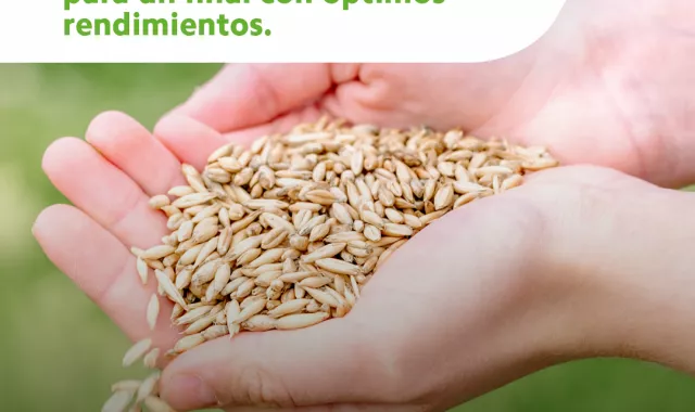 Nutricion y rendimiento