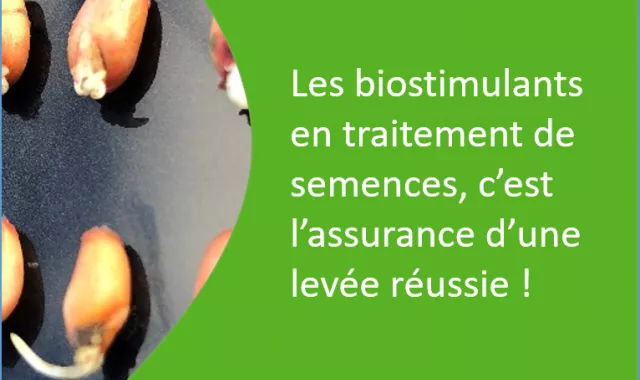 biostimulants en traitements de semences, l'assurance levée