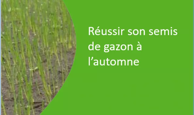 Réussir son semis de gazon à l'automne avec les produits COMPO EXPERT