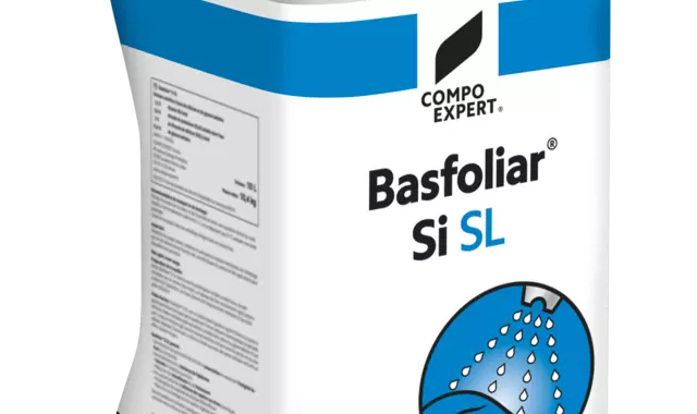 Basfoliar Si