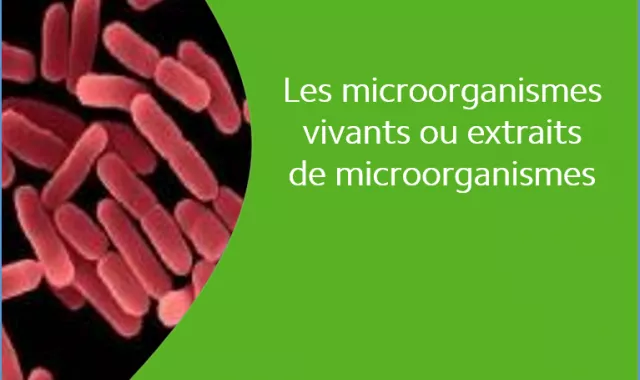 Les microorganismes vivants ou extraits de microorganismes - Bacillus