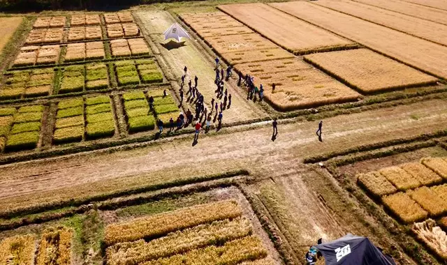 Primer Encuentro del Arroz - Portada