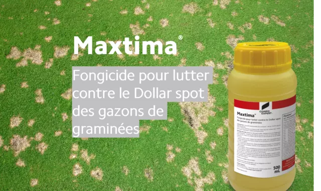 Une nouvelle matière active pour lutter contre le Dollar spot des gazons de graminées