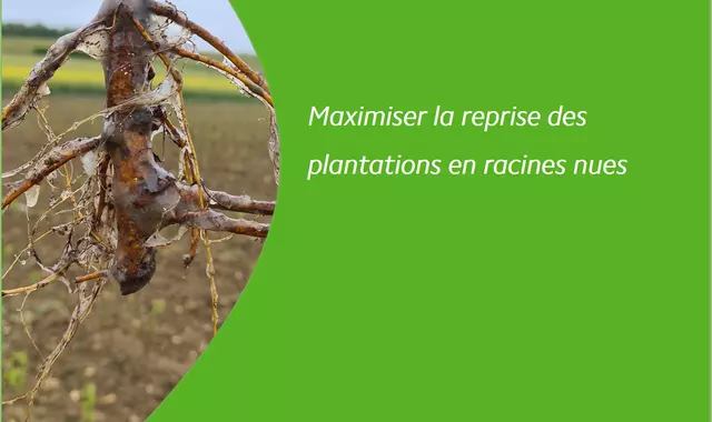 PraliGel Flo pralinage biostimulant pour maximiser la reprise plantations racines nues