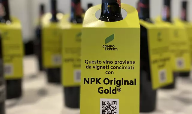 bottiglia vino gold