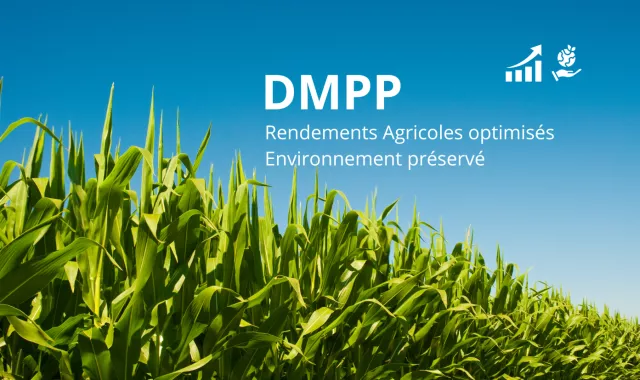 DMPP régulateur de nitrification