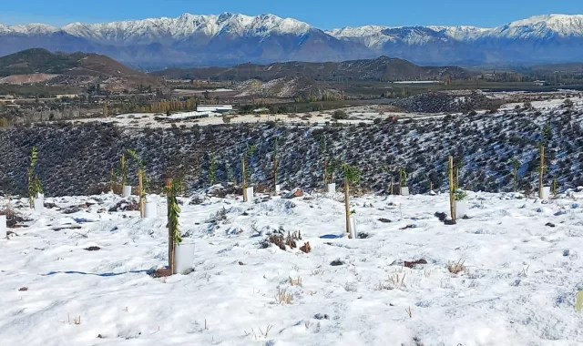 como-proteger-tus-cultivos-del-frio