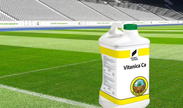 Pressemeldung Vitanica Ca