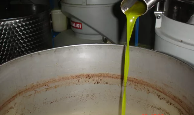 olive oil