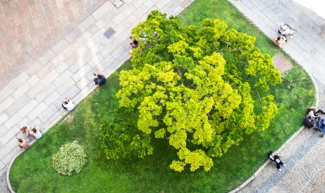 Des personnes assises dans un petit parc vert de la ville