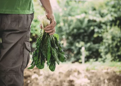 man holding vegetable