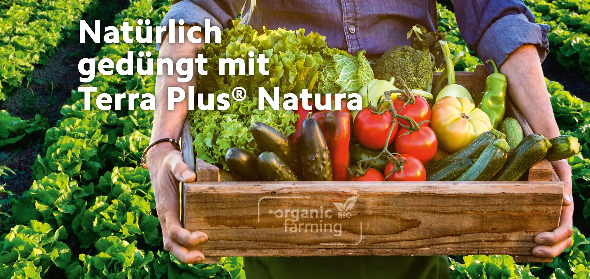 Presseinformation TerraPlus Natura