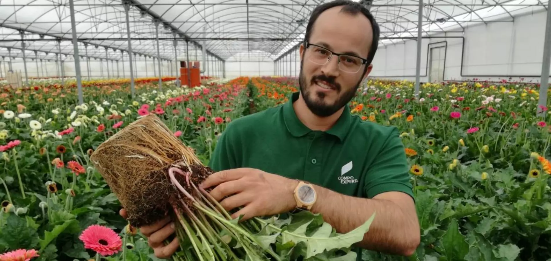 Agronutrición en cultivos menores