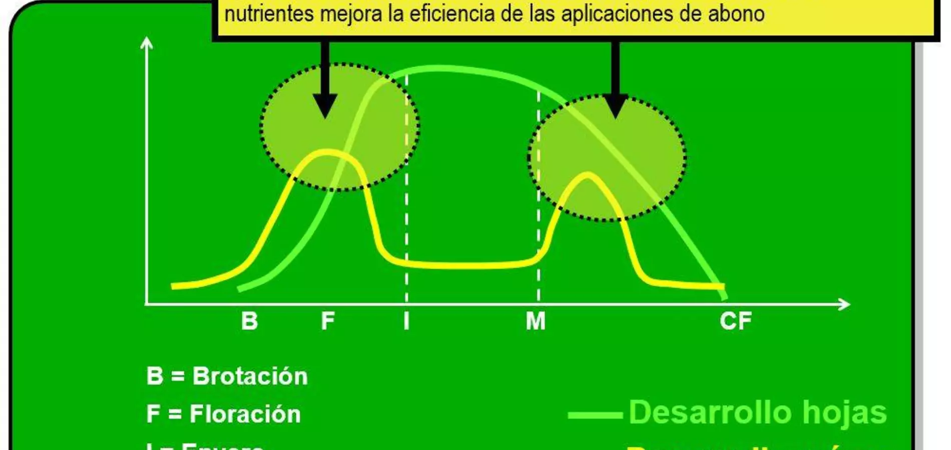 La importancia de la fertilización post-cosecha en leñosos